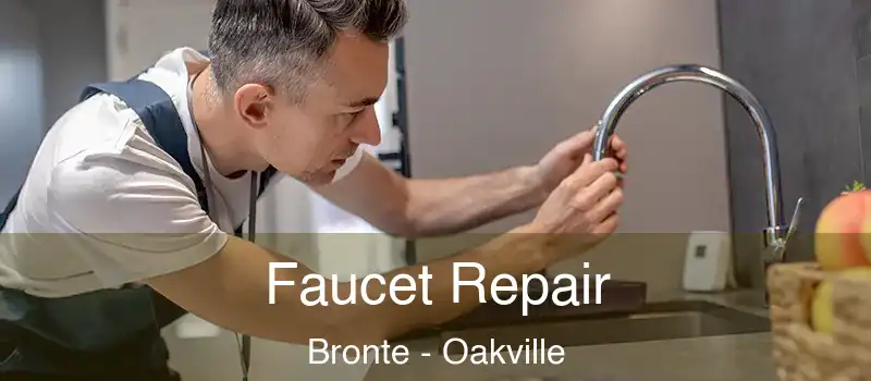  Faucet Repair Bronte - Oakville