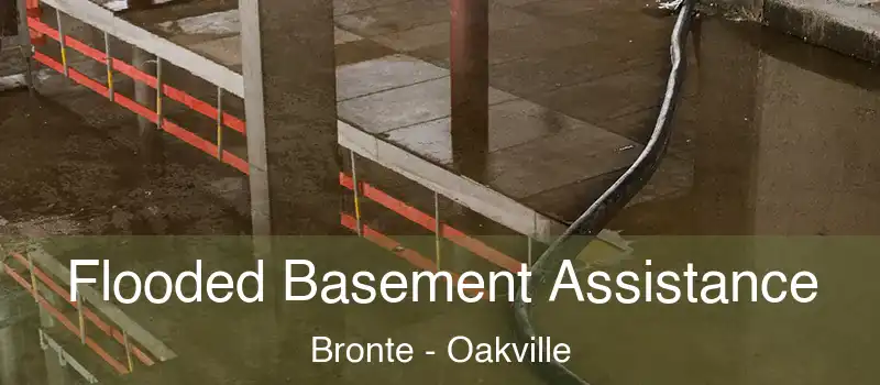  Flooded Basement Assistance Bronte - Oakville