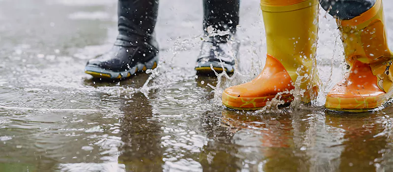 Emergency Flood Recovery Plumbing Services in Bronte, Oakville